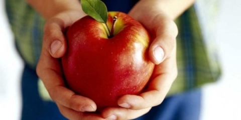 Koje su prednosti jabuka i da li postoji šteta za ljudski organizam?